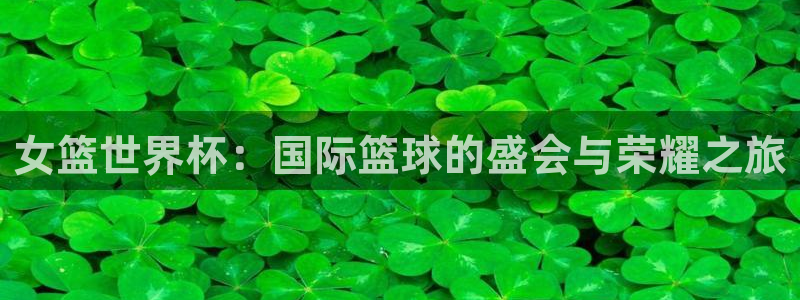 2026世界杯亚洲区预选赛赛程:女篮世界杯:国际篮球的盛会与荣耀之旅