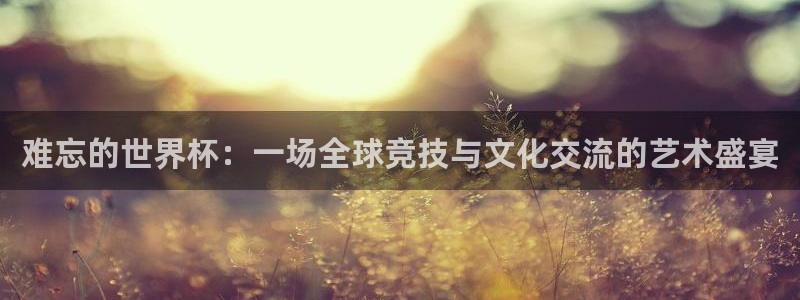 世界杯预选赛亚洲区积分榜:难忘的世界杯:一场全球竞技与文化交流的艺术盛宴