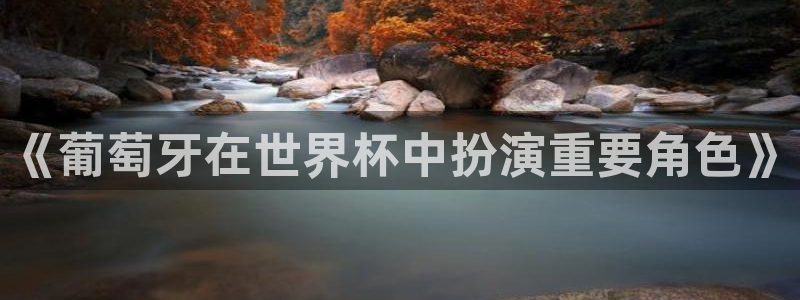 世界杯足球赛2026:《葡萄牙在世界杯中扮演重要角色》