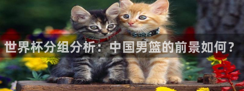 世界杯女足直播:世界杯分组分析:中国男篮的前景如何?