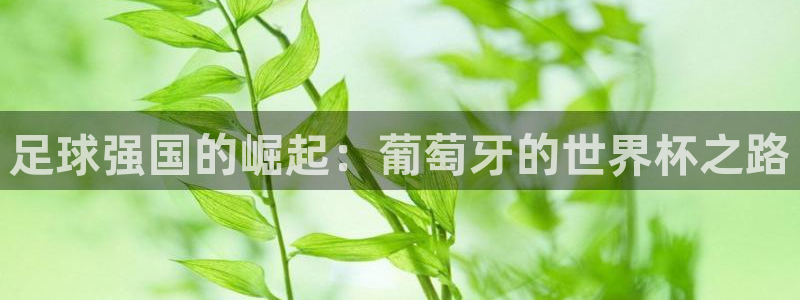 2026世界杯32强对阵图表:足球强国的崛起:葡萄牙的世界杯之路