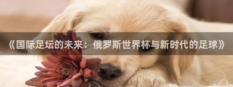 世界杯预赛赛程:《国际足坛的未来:俄罗斯世界杯与新时代的足球》
