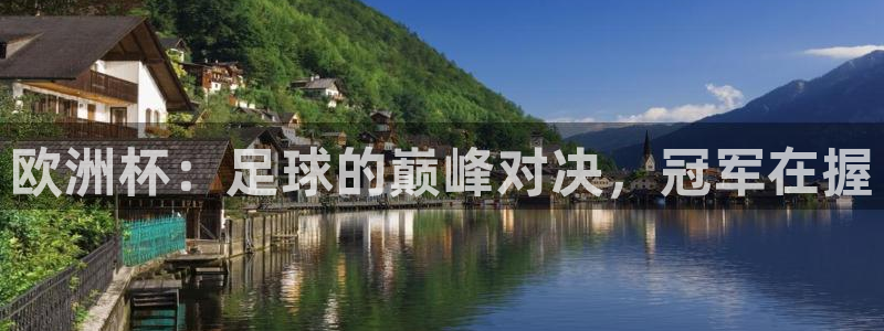 世界杯球队排名:欧洲杯:足球的巅峰对决,冠军在握