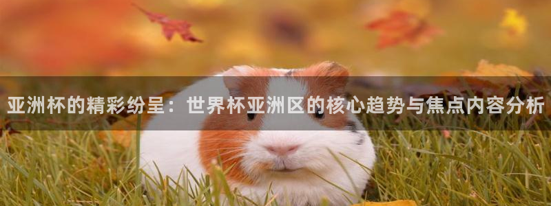 2026世界杯赛程表完整版:亚洲杯的精彩纷呈:世界杯亚洲区的核心趋势与焦点内容分析