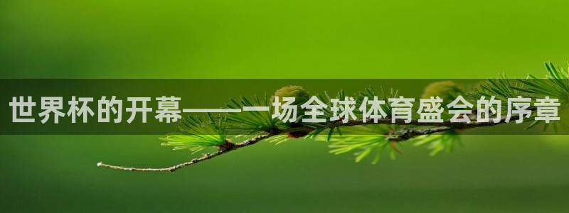 足球世界杯2026年赛程时间表:世界杯的开幕——一场全球体育盛会的序章