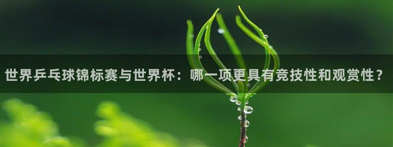 2026男足世界杯赛程:世界乒乓球锦标赛与世界杯:哪一项更具有竞技性和观赏性?