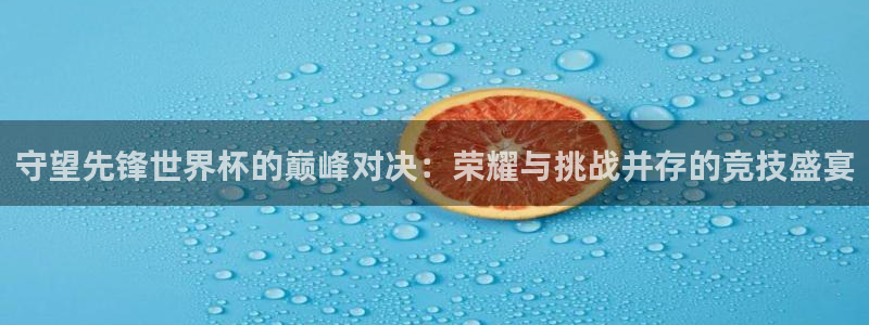 世界杯决赛直播:守望先锋世界杯的巅峰对决:荣耀与挑战并存的竞技盛宴