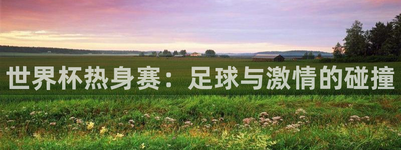 2026世界杯买球:世界杯热身赛:足球与激情的碰撞